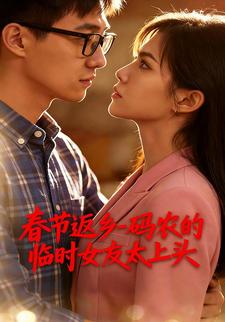 春节返乡,码农的临时女友太上头