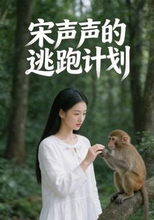 宋声声的逃跑计划