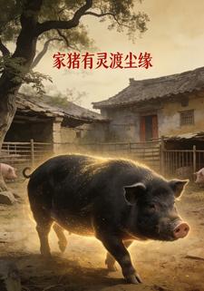 家猪有灵渡尘缘