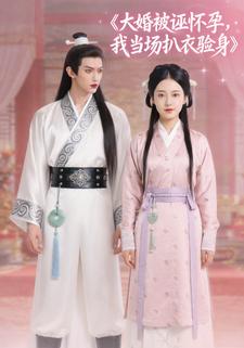 大婚被诬怀孕，我当场扒衣验身