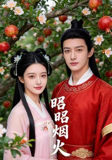 昭昭烟火