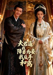 夫君逼我降妻为妾，我反手和离