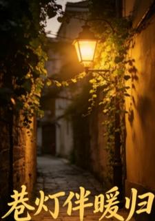 巷灯伴暖归