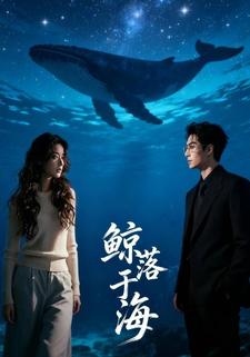 鲸落于海