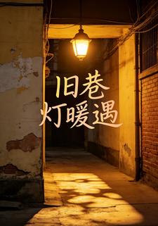 旧巷灯暖遇