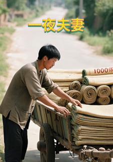 一夜夫妻