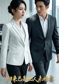 归来已是他人未婚妻