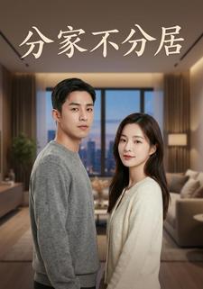 分家不分居