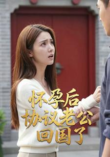 怀孕后协议老公回国了