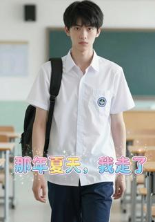 那年夏天，我走了