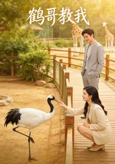 鹤哥教我