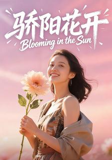 骄阳花开