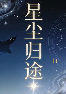 星尘归途11