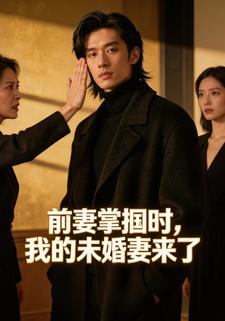 前妻掌掴时，我的未婚妻来了