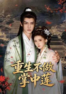重生不做掌中莲