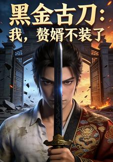 黑金古刀：我，赘婿不装了