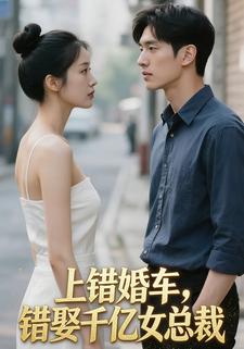 上错婚车，错娶千亿女总裁
