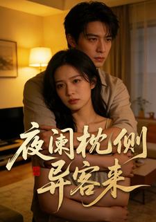 夜阑枕侧异客来