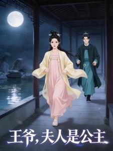 王爷，夫人是公主