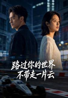 路过你的世界，不带走一片云