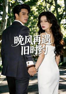 晚风再遇旧时约