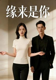 缘来是你