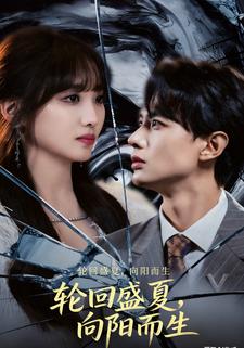 轮回盛夏，向阳而生