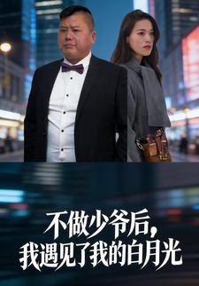 不做少爷后，我遇见了我的白月光