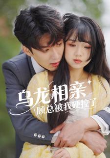 乌龙相亲顾总被我硬控了