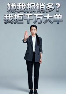 嫌我报销多？我拒千万大单