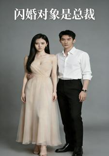 闪婚对象是总裁