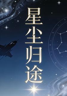 星尘归途22