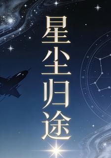 星尘归途28