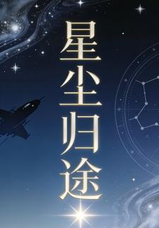 星尘归途30