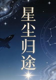 星尘归途46