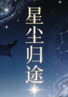 星尘归途29