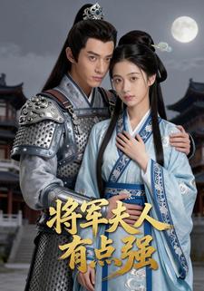 将军夫人有点强