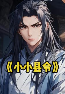 小小县令