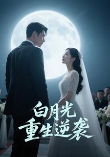 白月光：重生逆袭