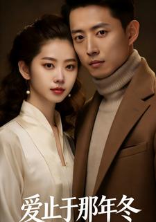 爱止于那年冬