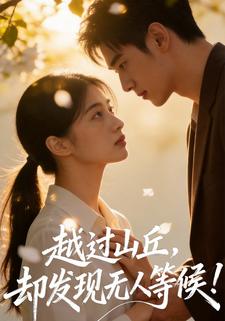 越过山丘，却发现无人等候