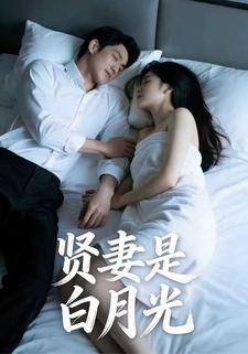 贤妻是白月光