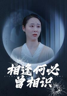 相逢何必曾相识