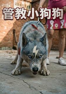 管教小狗狗