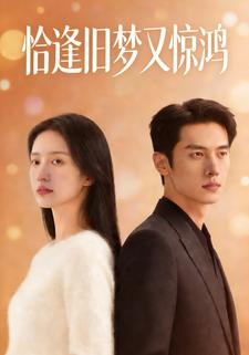 恰逢旧梦又惊鸿