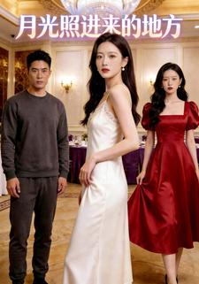月光照进来的地方