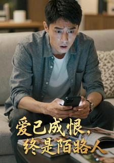 爱已成恨，终是陌路人