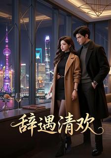 辞遇清欢