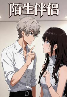 陌生伴侣