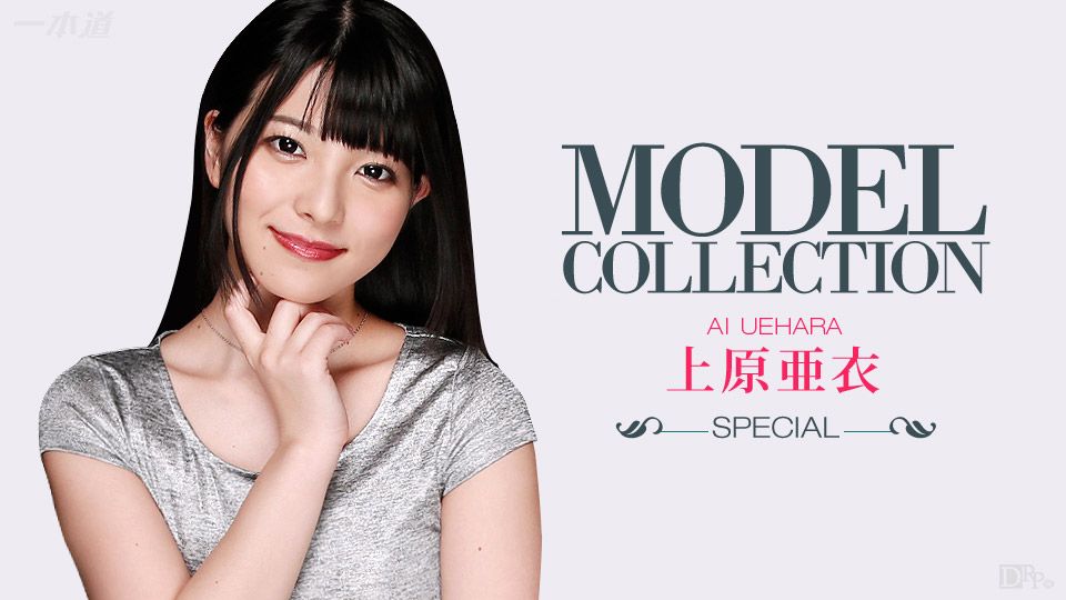 モデルコレクション スペシャル